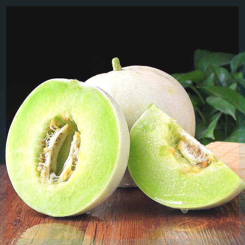 Snow Mass Honeydew Melon Seeds